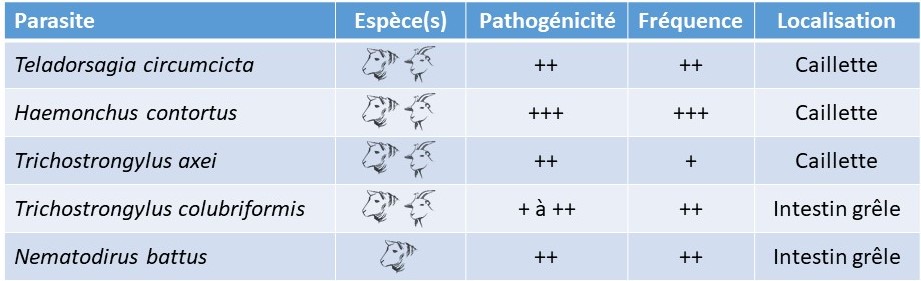 Illustration de l'actualité